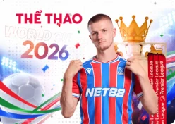 NET88 the-thao