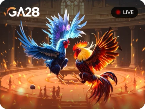 NET88 Đá Gà Livestream