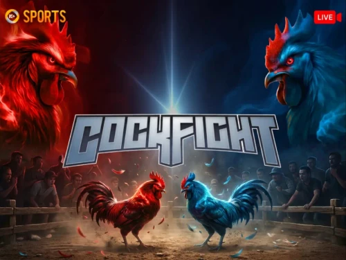 NET88 Đá Gà K-Sports